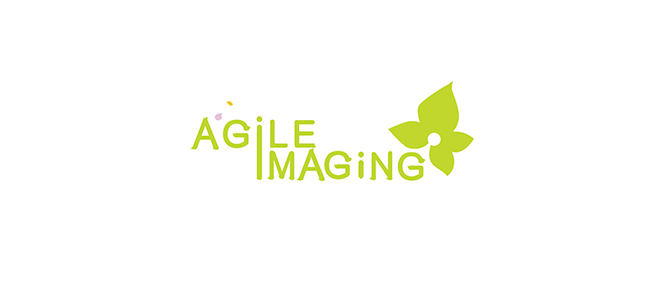Agile Image Logo